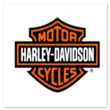 Centraline gruppi pompa ABS Harley Davidson