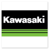 Centraline gruppi pompa ABS Kawasaki